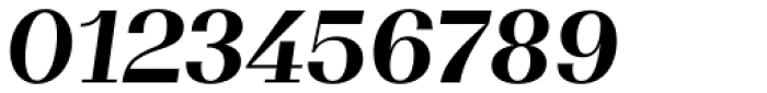 WT Volkolak Serif Display Bold Italic Font OTHER CHARS