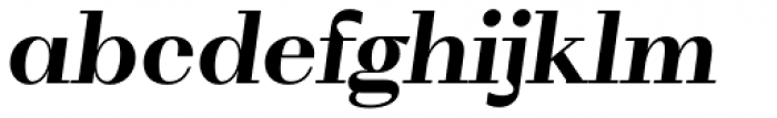 WT Volkolak Serif Display Bold Italic Font LOWERCASE