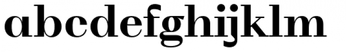WT Volkolak Serif Display Bold Font LOWERCASE