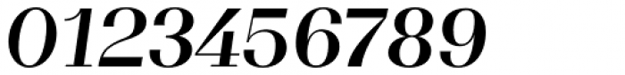 WT Volkolak Serif Poster Medium Italic Font OTHER CHARS