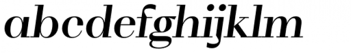 WT Volkolak Serif Poster Medium Italic Font LOWERCASE