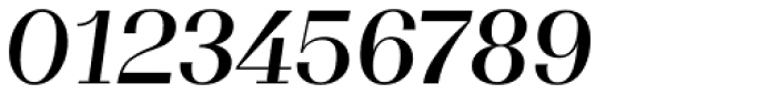 WT Volkolak Serif Poster Regular Italic Font OTHER CHARS