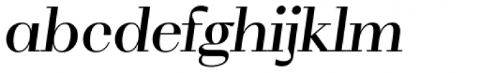 WT Volkolak Serif Poster Regular Italic Font LOWERCASE