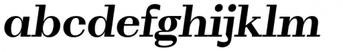 WT Volkolak Serif Text Bold Italic Font LOWERCASE