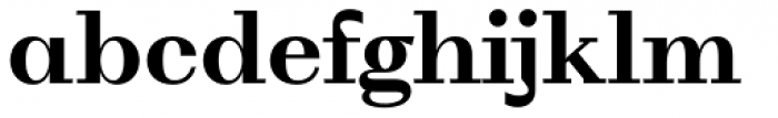 WT Volkolak Serif Text Bold Font LOWERCASE