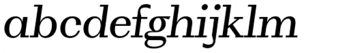 WT Volkolak Serif Text Light Italic Font LOWERCASE