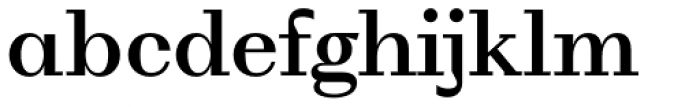 WT Volkolak Serif Text Medium Font LOWERCASE