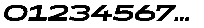 WTF Forma Expanded Bold Italic Font OTHER CHARS