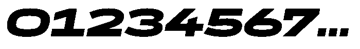 WTF Forma Expanded Heavy Italic Font OTHER CHARS