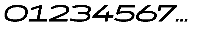 WTF Forma Expanded Italic Font OTHER CHARS