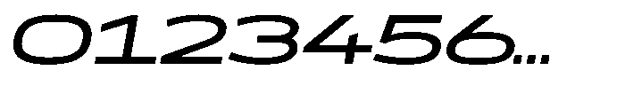 WTF Forma Wide Italic Font OTHER CHARS