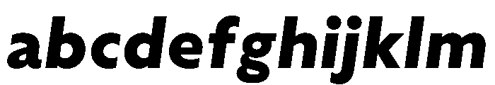 WTAptaHumanist ExtraBoldItalic FONT