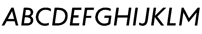 WTAptaHumanist Italic Font UPPERCASE