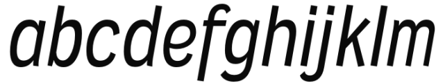 Wyvern Rg It Font LOWERCASE