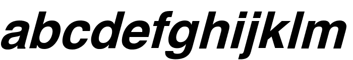 XB Shafigh Bold Italic Font LOWERCASE