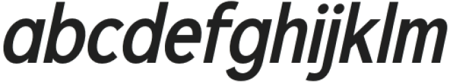 Xerifut Italic otf (400) Font LOWERCASE