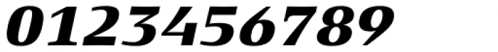 Xenois Serif Pro Heavy Italic Font OTHER CHARS