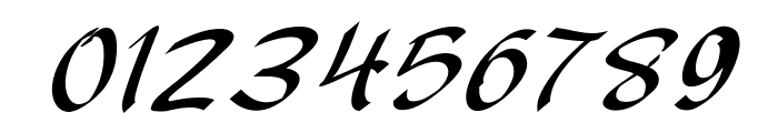 Xerilon-BoldItalic Font OTHER CHARS