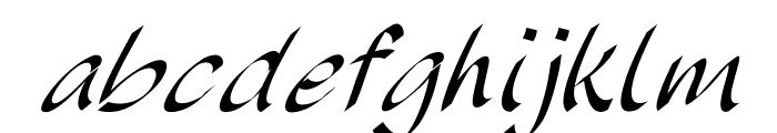 XerilonItalic Font LOWERCASE