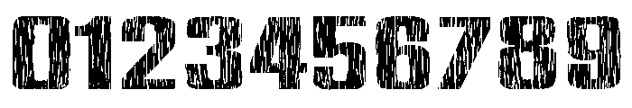 Xylo Sans Extended Font OTHER CHARS