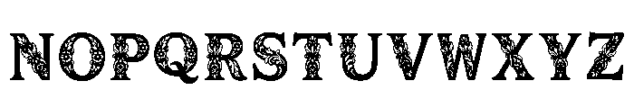 Yale Regular Font LOWERCASE