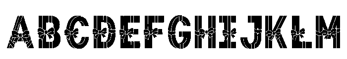 Yorric Regular FONT