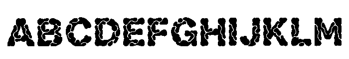Yotam Regular FONT