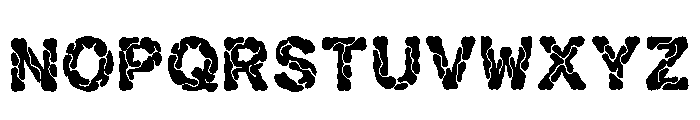 Yotam Regular Font LOWERCASE