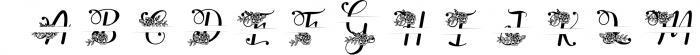 Yuanita Monogram Font - 4 Style Monogram Font UPPERCASE