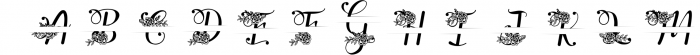 Yuanita Monogram Font - 4 Style Monogram Font LOWERCASE