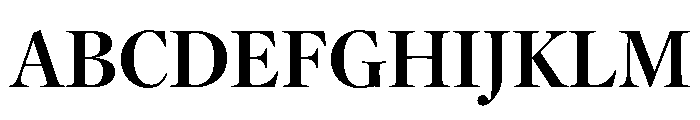 YuMincho Extrabold Font UPPERCASE