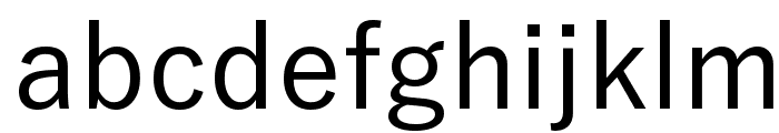 Yu Gothic Medium Font LOWERCASE