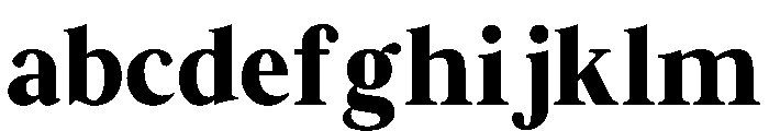 Zafira Serif ExtraBold FONT