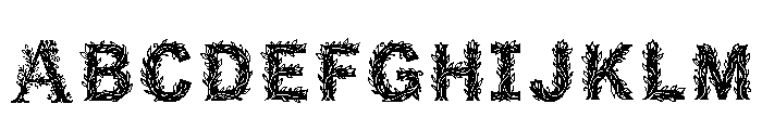 Zain Regular Font UPPERCASE