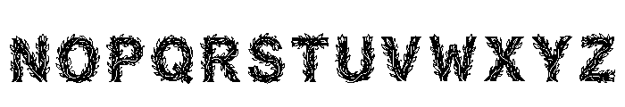 Zain Regular Font UPPERCASE