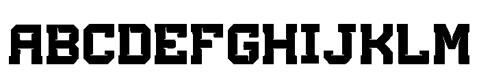 Zayed Regular FONT