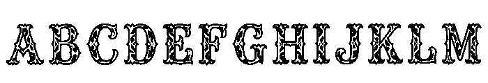 Zayleigh Regular Font UPPERCASE