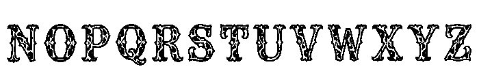 Zayleigh Regular Font UPPERCASE