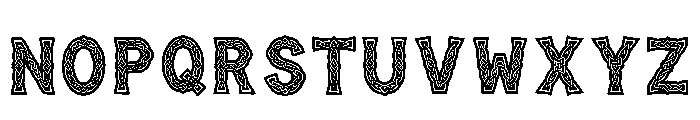 Zaylynn Regular Font LOWERCASE