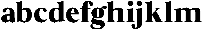 Zafira Serif Black otf (900) FONT