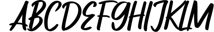 Zaitun | A Nature Branding Font 1 Font UPPERCASE