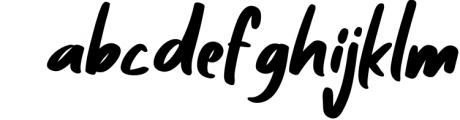Zaitun | A Nature Branding Font 1 Font LOWERCASE