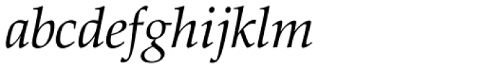 Zapf Calligraphic 801 Italic Font LOWERCASE