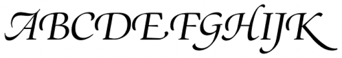 Zapf Renais SH Italic Swash Font UPPERCASE