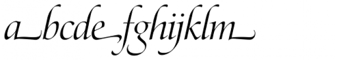 Zapf Renais SH Light Italic Swash Font LOWERCASE