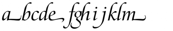 Zapf Renaissance B EF Book Italic Swash Font LOWERCASE