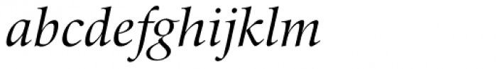 Zapf Renaissance B EF Book Italic Font LOWERCASE