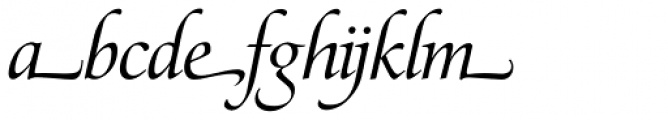 Zapf Renaissance H EF Book Italic Swash Font LOWERCASE