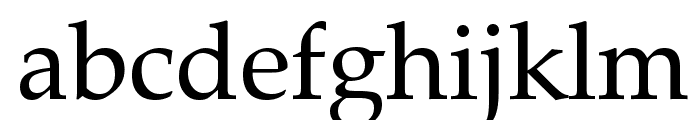 Zapf Calligraphic 801 BT Font LOWERCASE