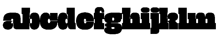 Zeplin Variable Heavy FONT